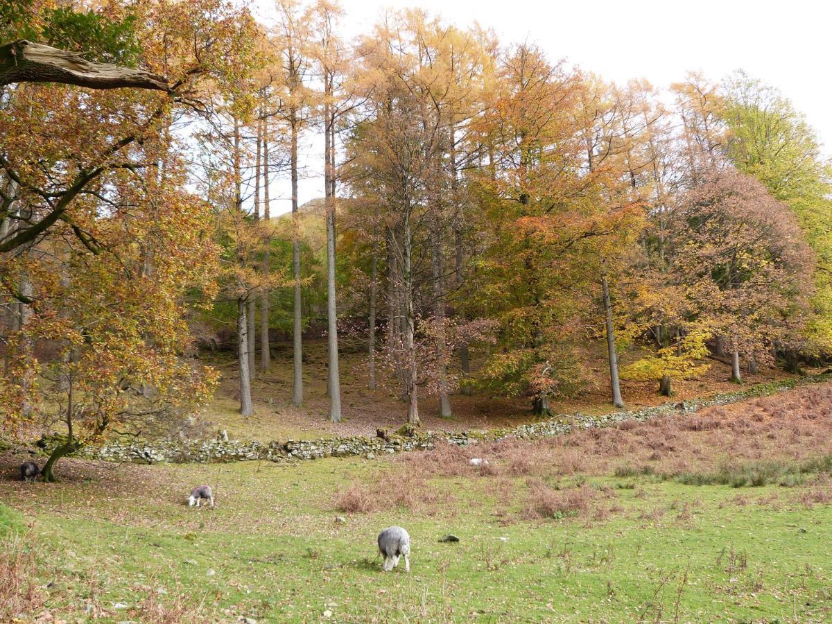 Hazel - Woodland Cottages Боунес-он-Уиндермер Экстерьер фото